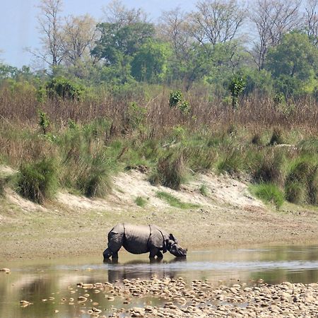 Forest Hideaway Resort Pvt Ltd Bardiya Exteriör bild