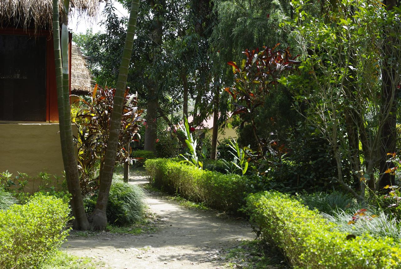 Forest Hideaway Resort Pvt Ltd Bardiya Exteriör bild
