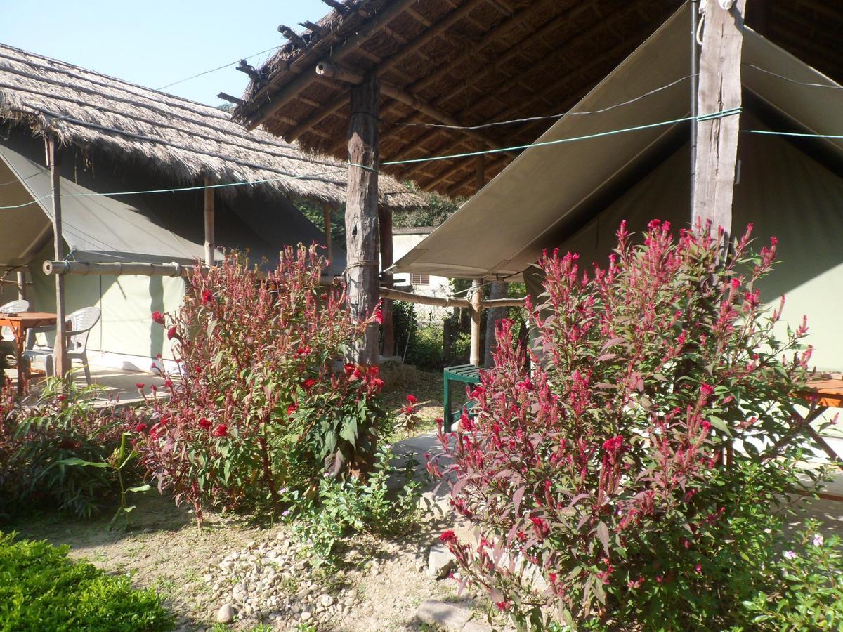 Forest Hideaway Resort Pvt Ltd Bardiya Exteriör bild